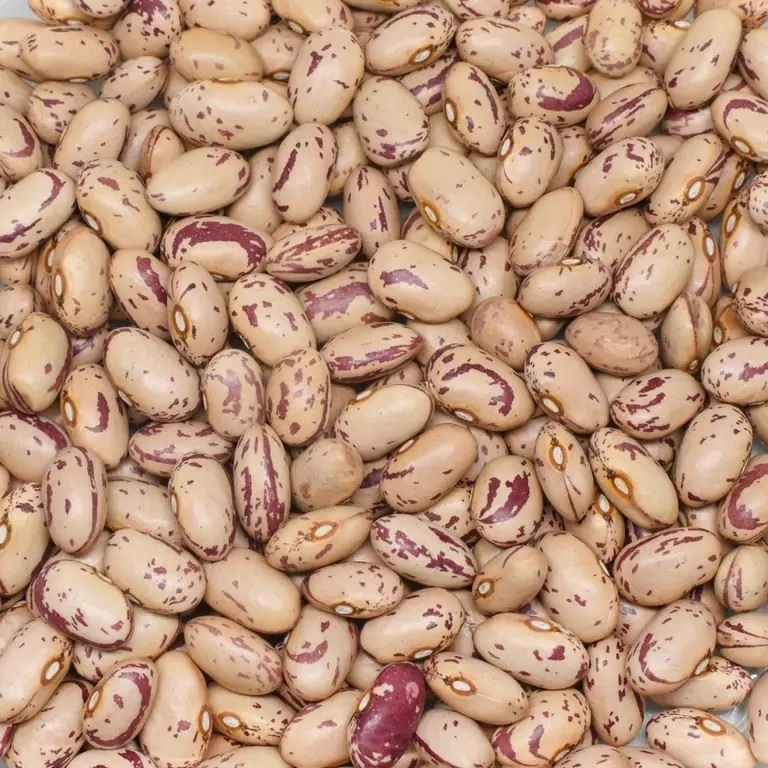 Cranberry beans