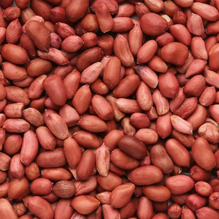 Peanuts